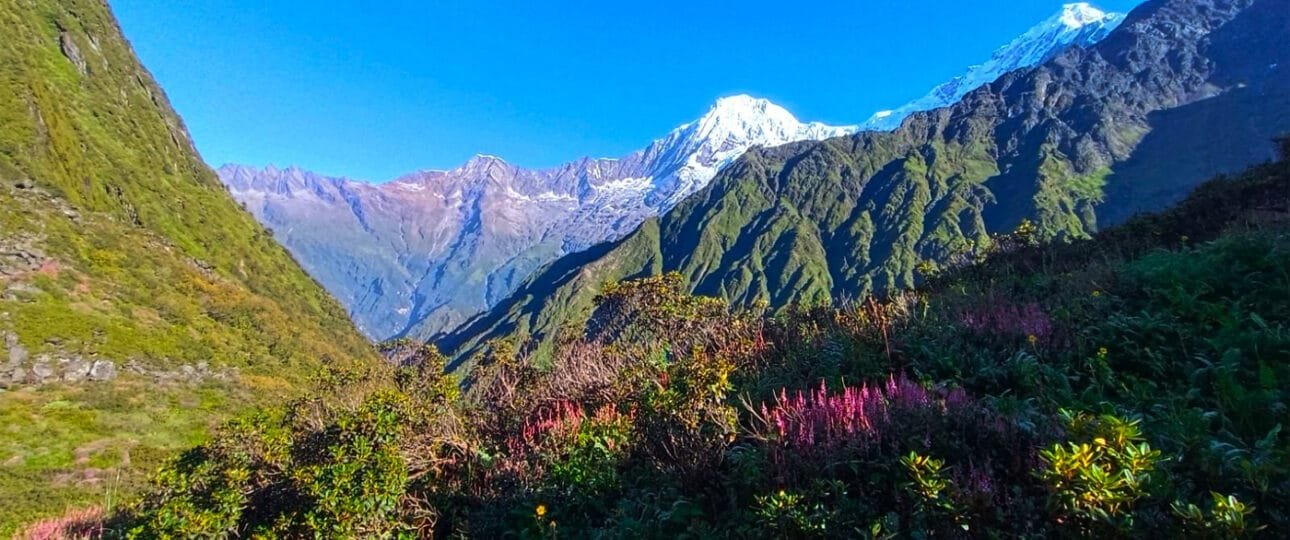 Trekking in Ruby Valley