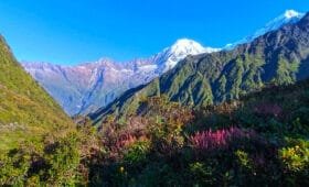 Trekking in Ruby Valley