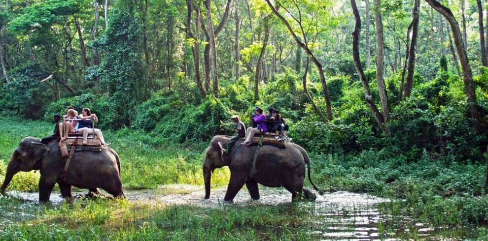 Chitwan Jungle Safari