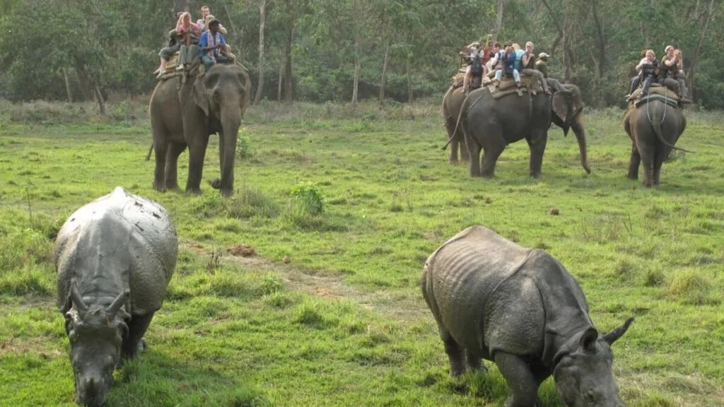 Chitwan Jungle Safari