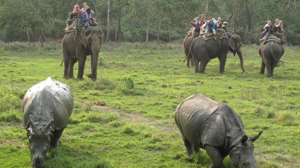 Chitwan Jungle Safari