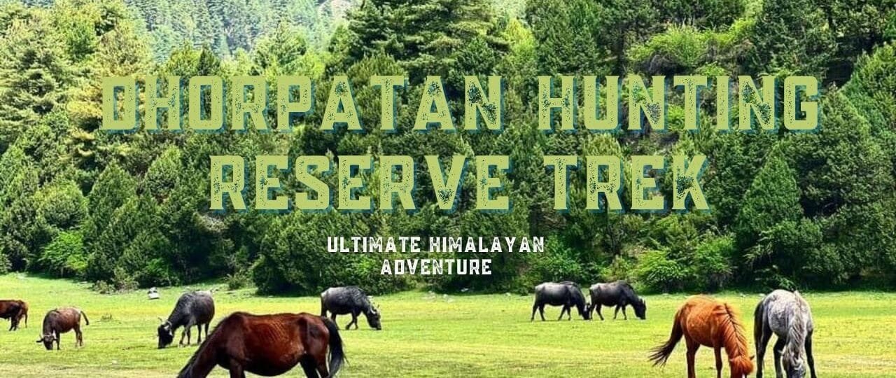 Dhorpatan Hunting Reserve Trek